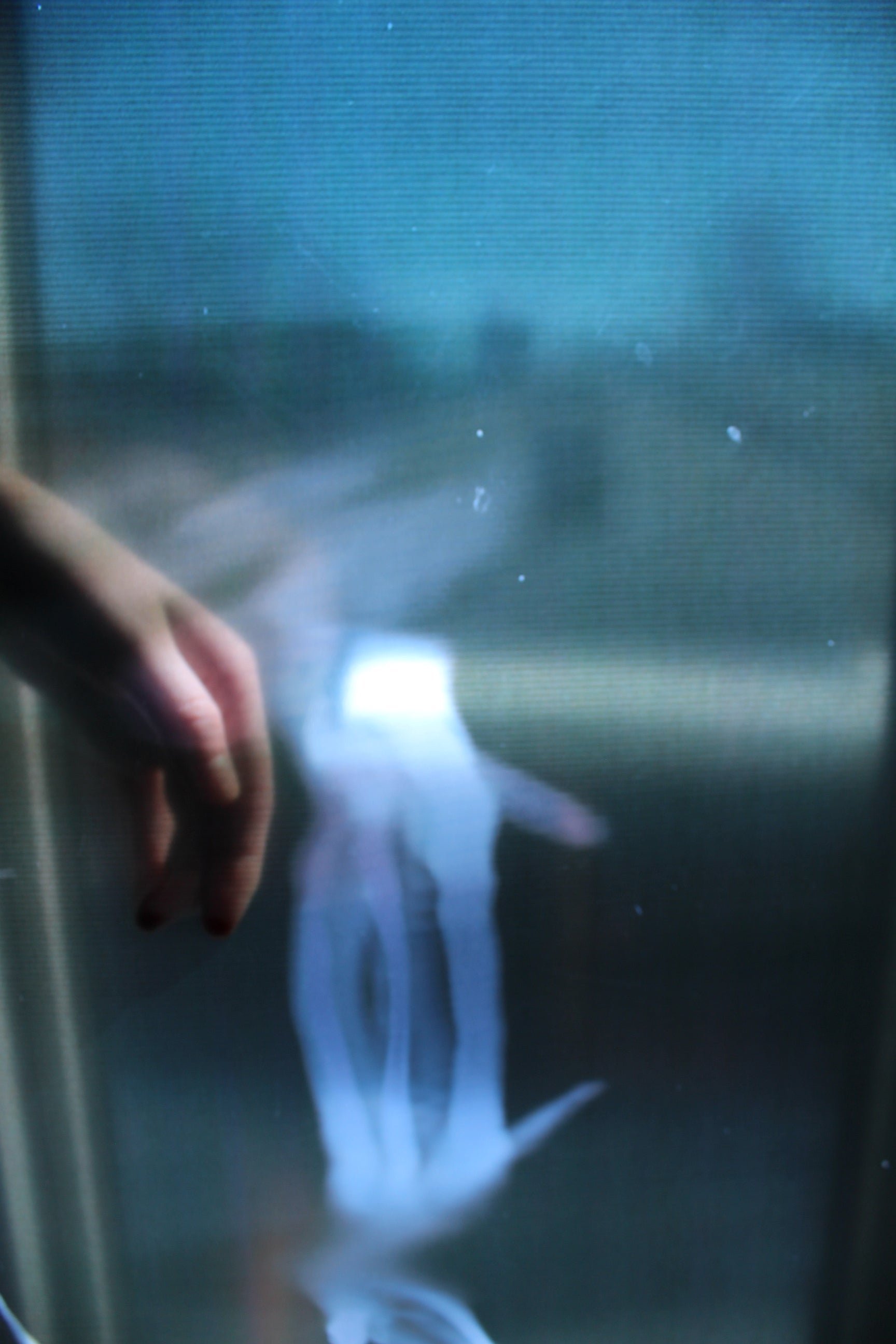 Hand in front of translucent  blue screen.