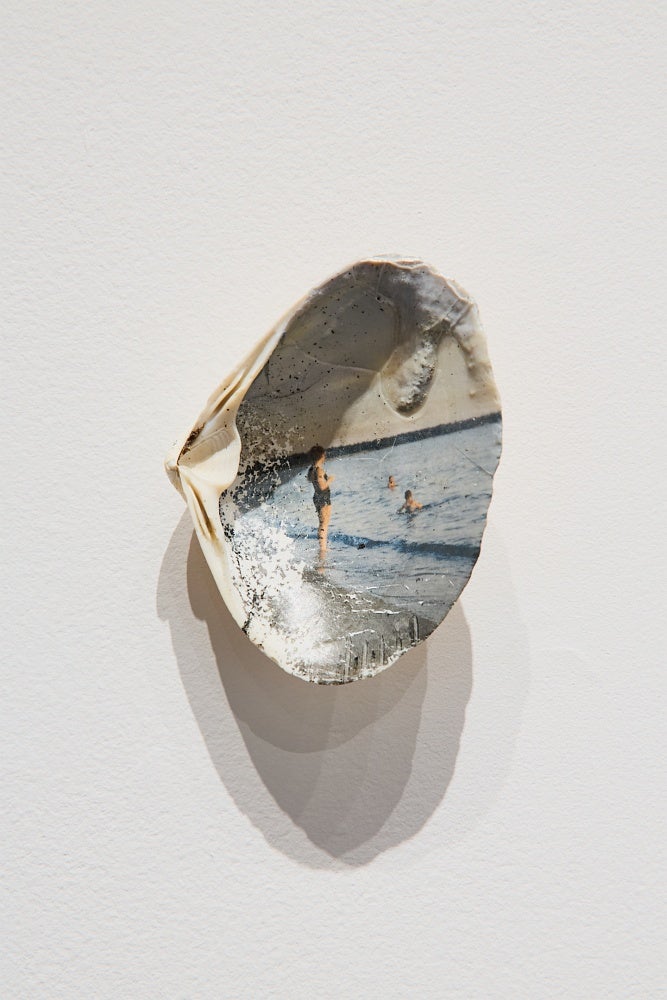 Shell containing a photograph of people at a beach.