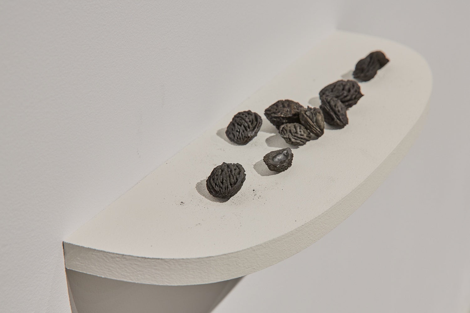 Carbonized peach pits on a white shelf.