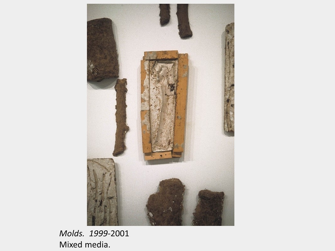 Artwork by Michael Ambedian. Molds. 1999-2001. Mixed media.
