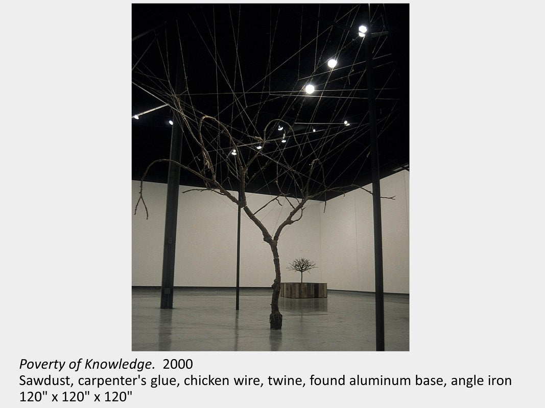Artwork by Michael Ambedian. Poverty of Knowledge. 2000. Sawdust, carpenter's glue, chicken wire, twine, found aluminum base.