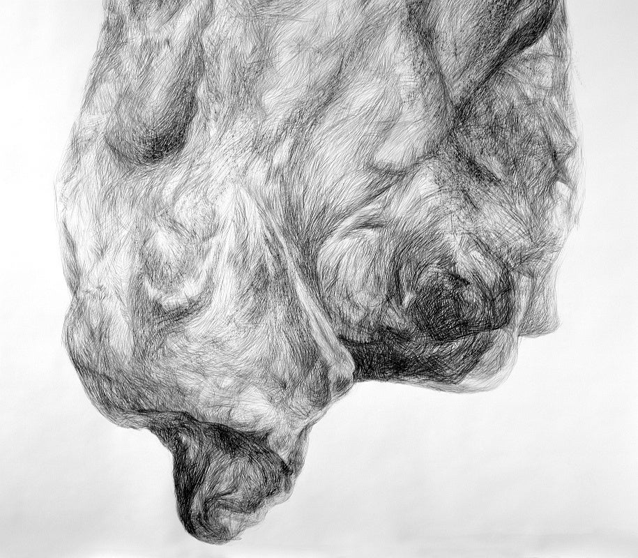 Large pencil drawing of a rock-like shape.