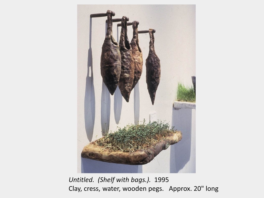 Artwork by Carol Bradley. Untitled. (Shelf with bags.). 1995. Clay, cress, water, wooden pegs. Approx. 20" long