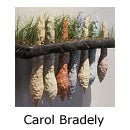 Carol Bradely