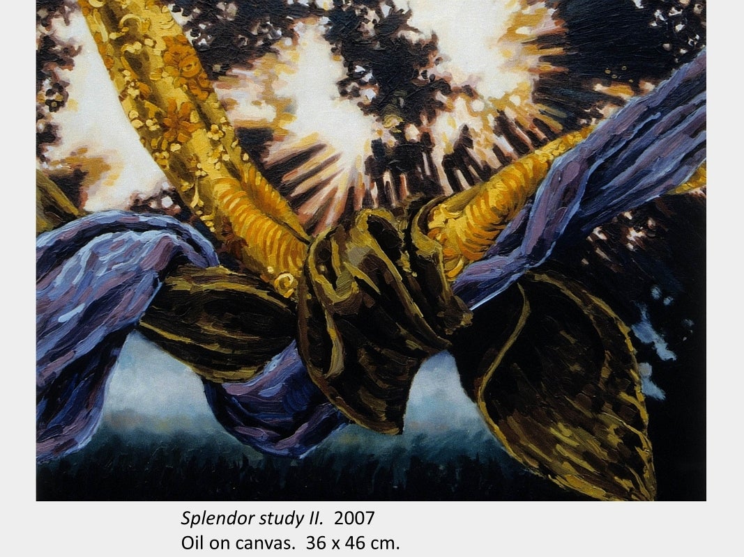 Artwork by Stephanie Bush. Splendor study II. 2007. Oil on canvas. 36 x 46 cm.