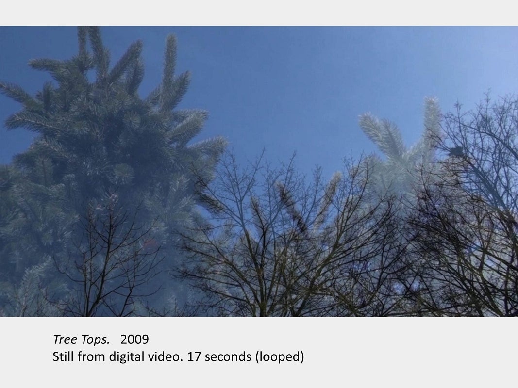 Artwork by Colin Carney. Tree tops. 2009. Still from digital video. 17 seconds (looped).
