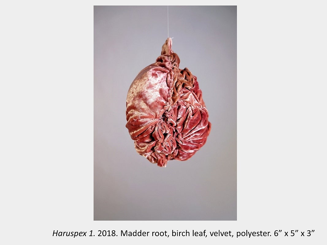 Artwork by Maria Sinmmons - Haruspex 1. 2018. Madder root, birch leaf, velvet, polyester. 6” x 5” x 3”