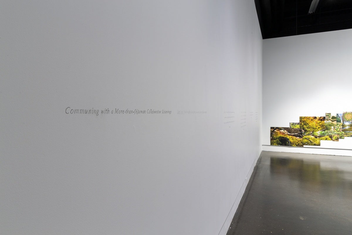 Image of art gallery walls with text, hand-printed in pencil, reading "Communing with a more-than-(h)uman collaborator: Listening".  On the back wall a series of collaged photographs and installed across and up the wall.