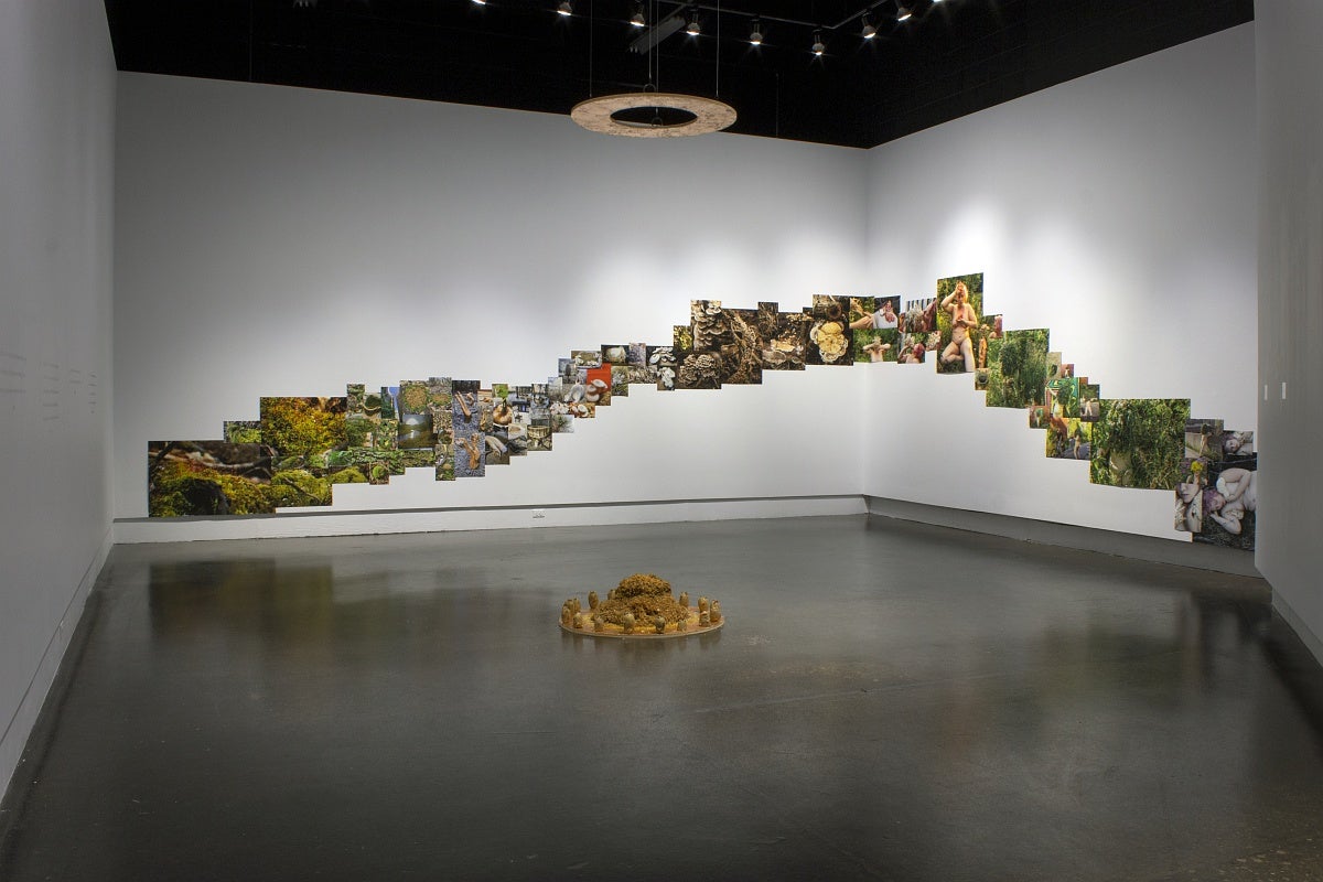 A room in a gallery with an installation of collaged photos of landscapes, mushrooms and nude female figures. The photos are arranged in a stepped pattern going up one wall and down the next.  On the floor in the center of the room in a circular wooden base, painted gold and filled with wood-chips surrounded by potatoes. A second chipboard circle is suspended from the ceiling.