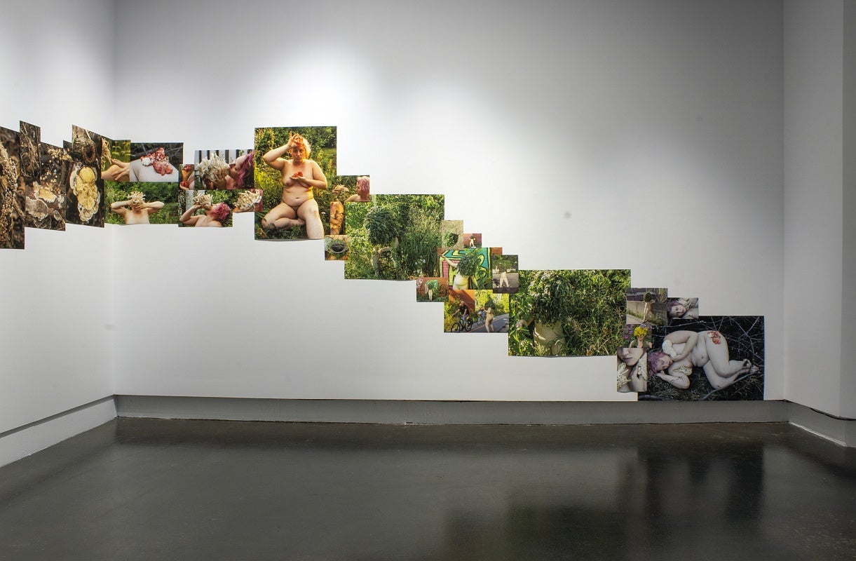 A room in a gallery with an installation of collaged photos of mushrooms and female figures, some nude and some in a plant costume. The photos are arranged in a stepped pattern going across and down the wall.