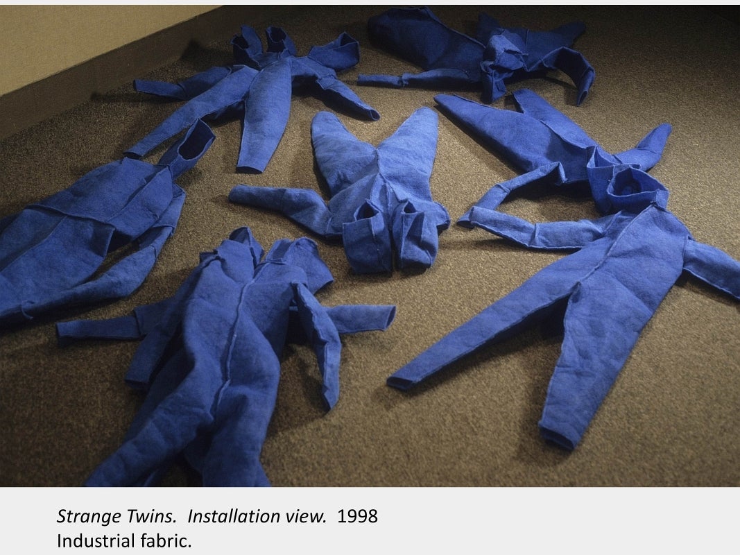 Artwork by Melissa Gordon. Strange Twins (Installation view). 1998. Industrial fabric.