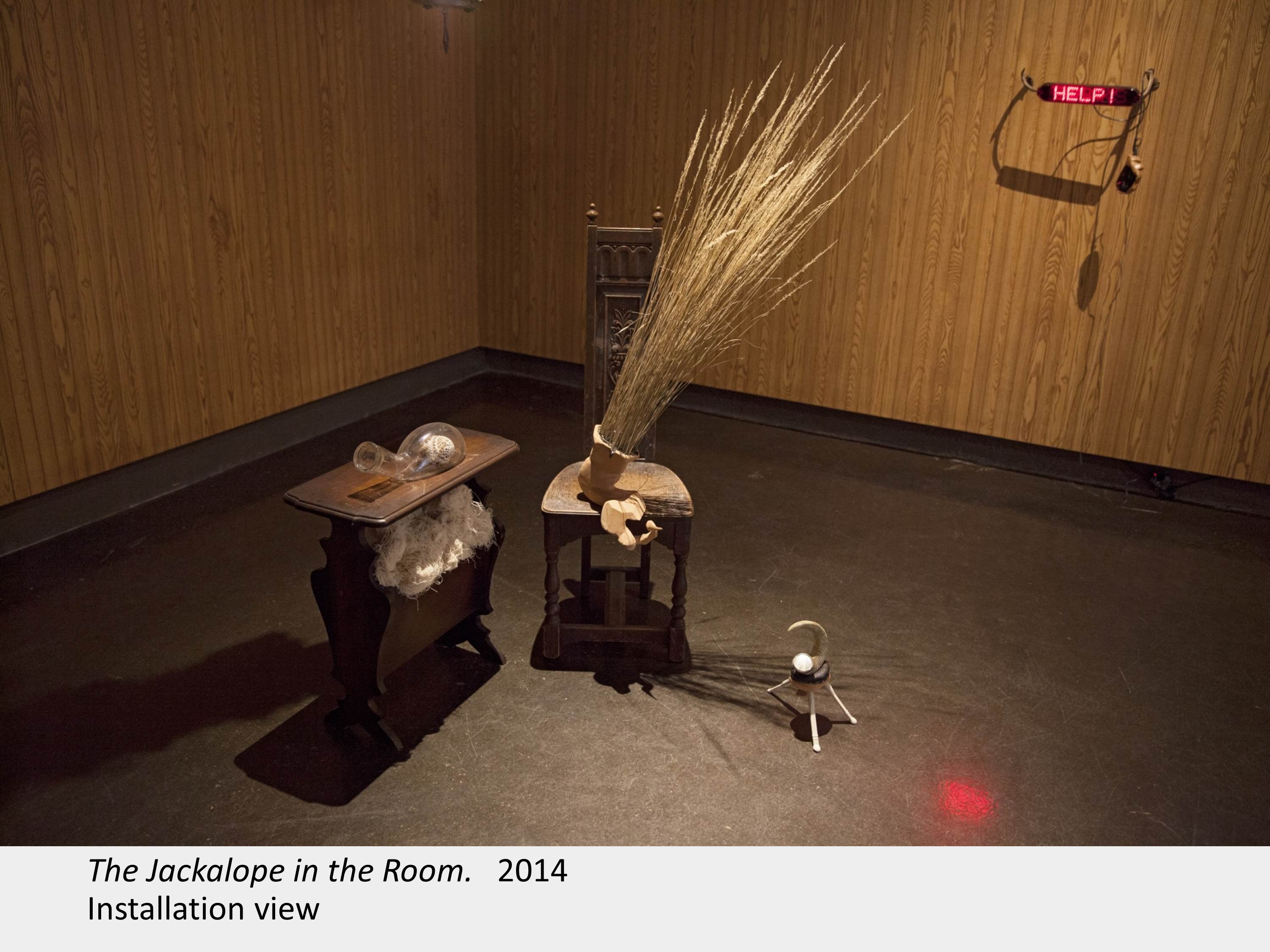 Artwork by Meghan Green. The Jackalope in the Room. 2014. Installation view.