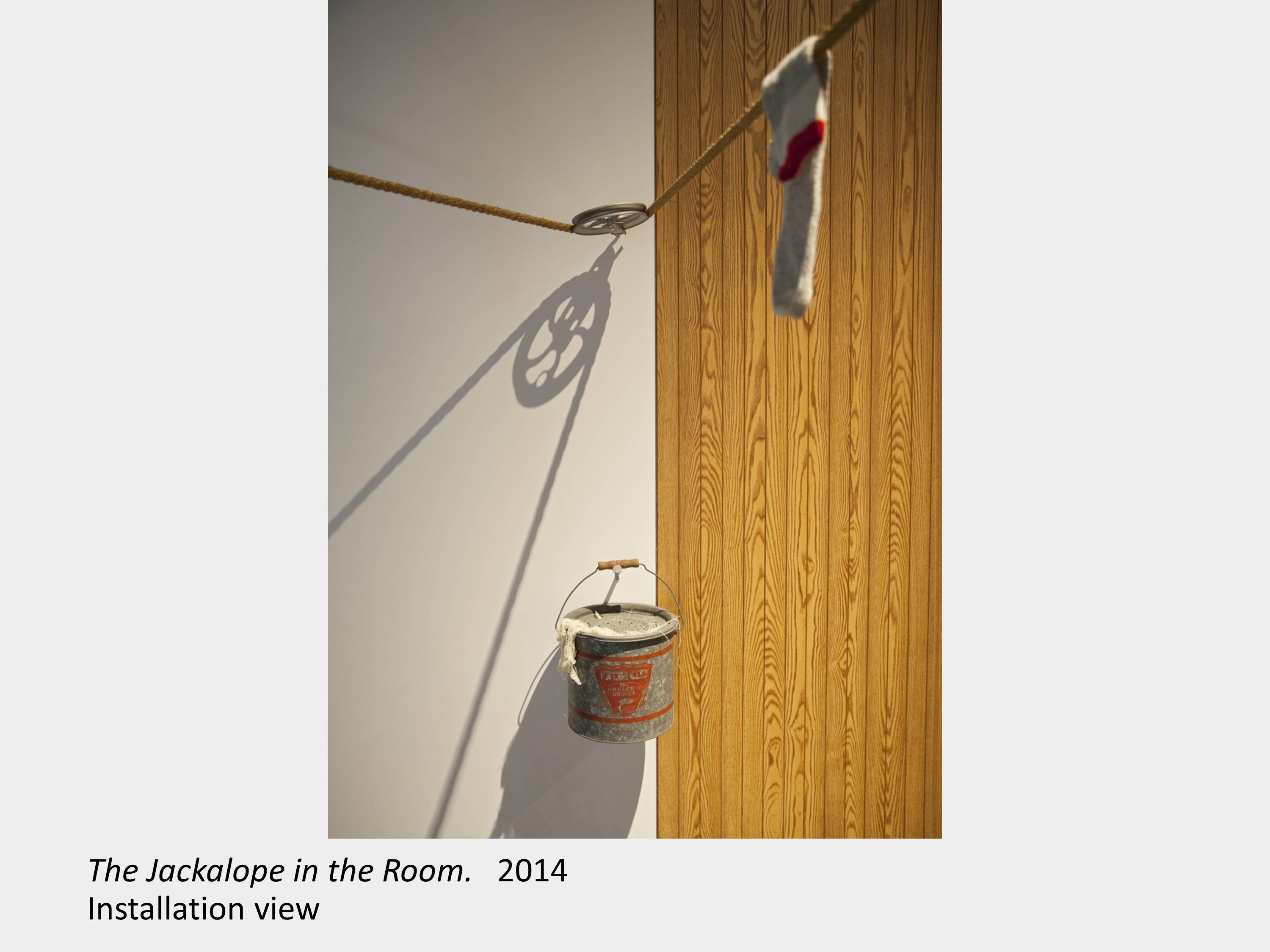 Artwork by Meghan Green. The Jackalope in the Room. 2014. Installation view.