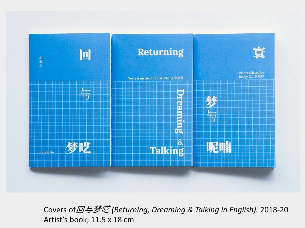 Brubey Hu's artwork "Covers of 回与梦呓 (Returning, Dreaming & Talking in English)", 2018-2020, artist’s book, 11.5 x 18 cm