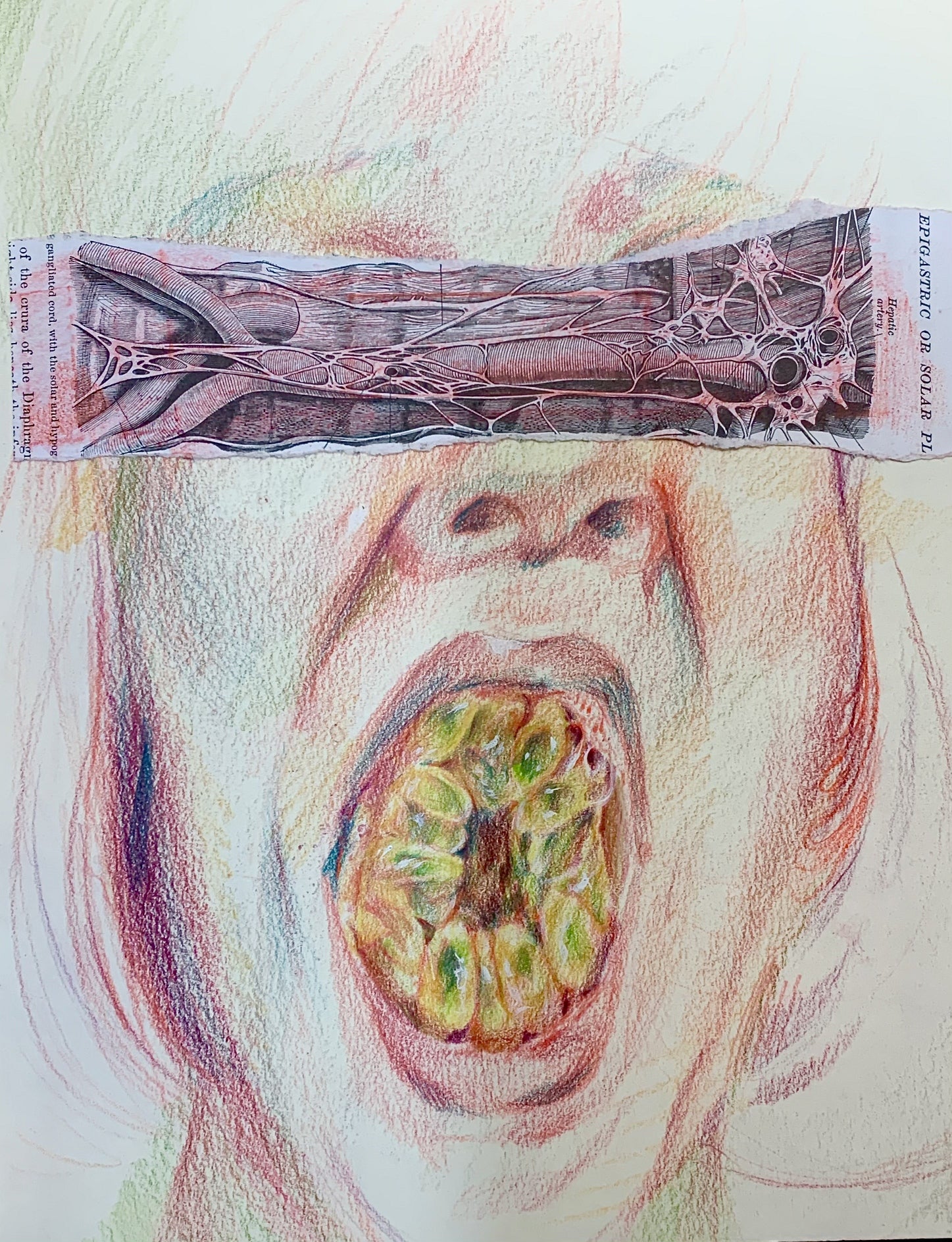 Drawing of face with mouth open and filled with yellow and green ovals, eyes covered with anatomical illustration of arteries.