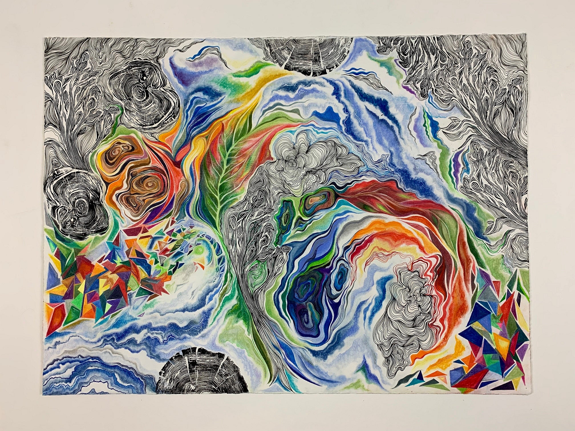 Artwork of swirling patterns.  Some areas of fine black and white lines other area of multicoloured swirls, leaf patterns and tr