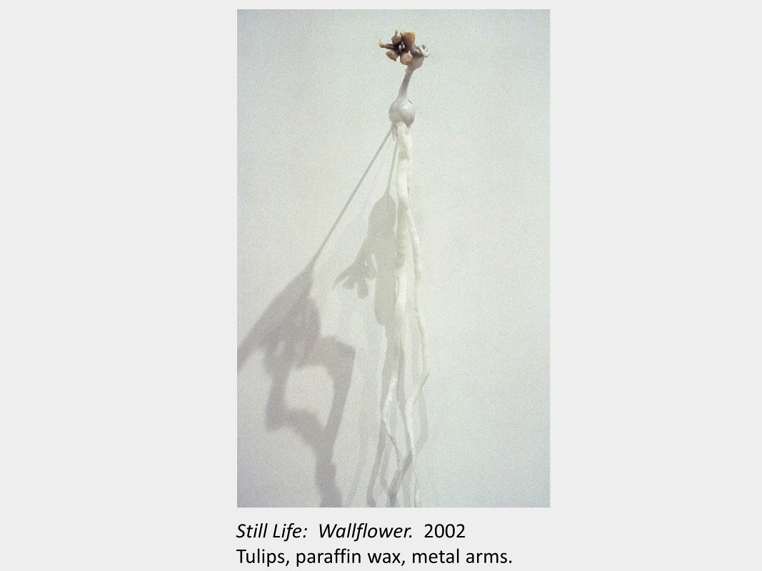 Artwork by Tamara Izsak. Still Life: Wallflower. 2002. Tulips, paraffin wax, metal arms.