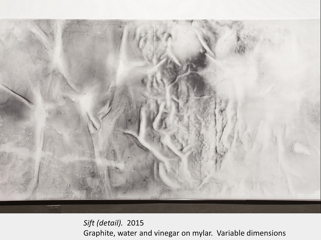 Artwork by Sarah Kernohan. Sift (detail). 2015. Graphite, water and vinegar on mylar. Variable dimensions.