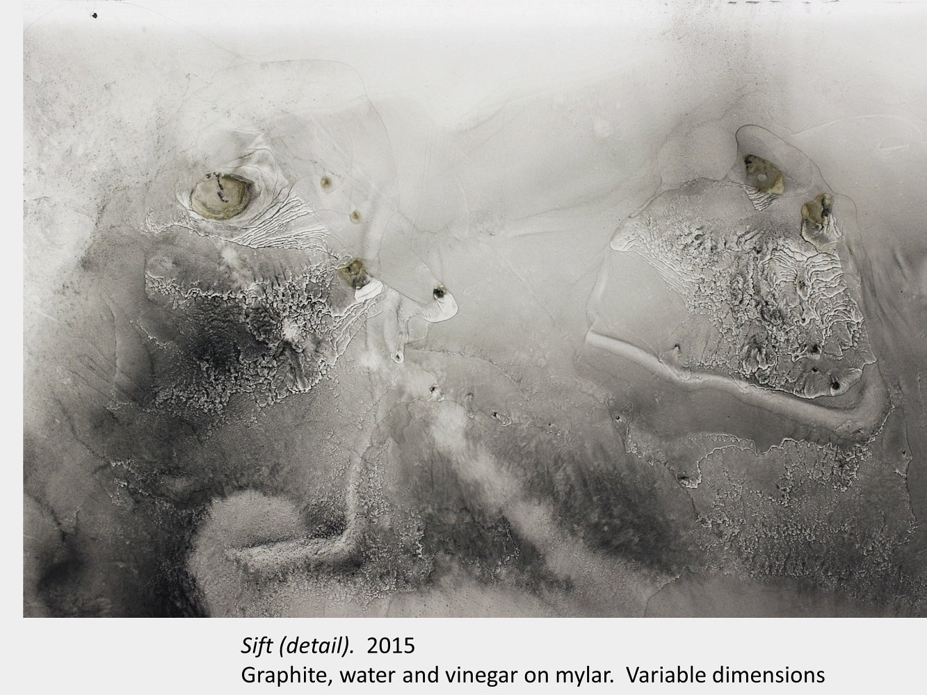 Artwork by Sarah Kernohan. Sift (detail). 2015. Graphite, water and vinegar on mylar. Variable dimensions.
