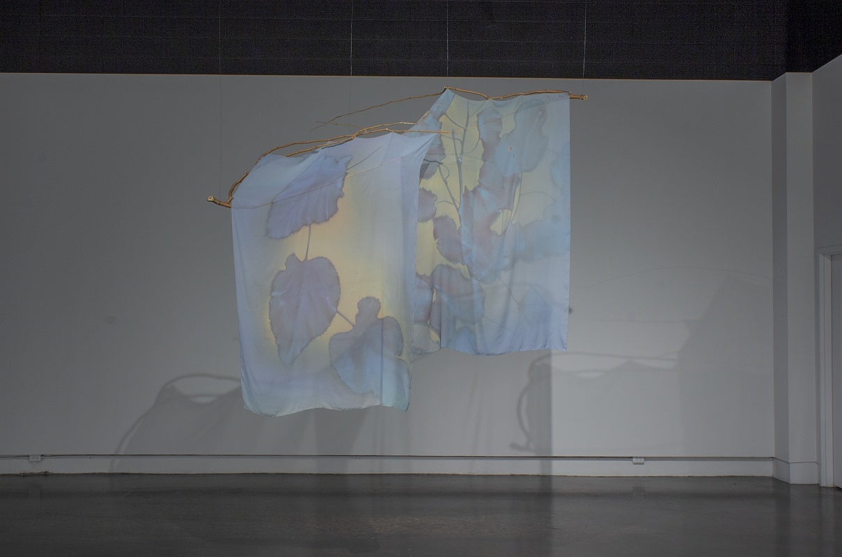 A darken art gallery with two sheer curtains with an organic leaf print in blues and yellows hang from tree branches suspended from the ceiling.
