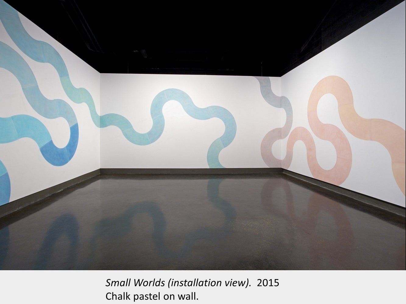 Artwork by Liz Little. Small Worlds (installation view). 2015. Chalk pastel on wall.