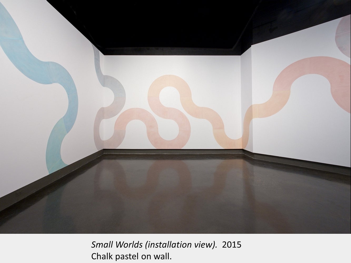 Artwork by Liz Little. Small Worlds (installation view). 2015. Chalk pastel on wall.