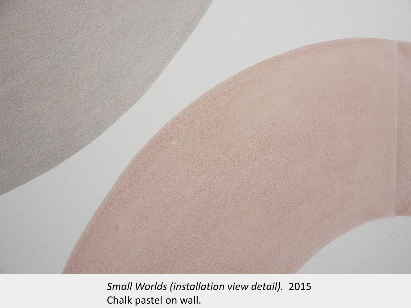 Artwork by Liz Little. Small Worlds (installation detail view). 2015. Chalk pastel on wall.