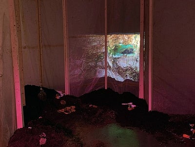 Colour image of several 2 x 3 inch wooden boards standing vertically varying widths apart to create an irregular-shaped room. The ‘walls' are made of clear white plastic, with a pink hue reflected on them. Projected onto the plastic is a video that spans the centre of the image. It depicts bright green chemical efflorescence with browns and greens, and greys. There are mounds of soil on the floor around the perimeter of the walls. Embedded in the soil are various white and terracotta clay and glass forms, mostly buried.
