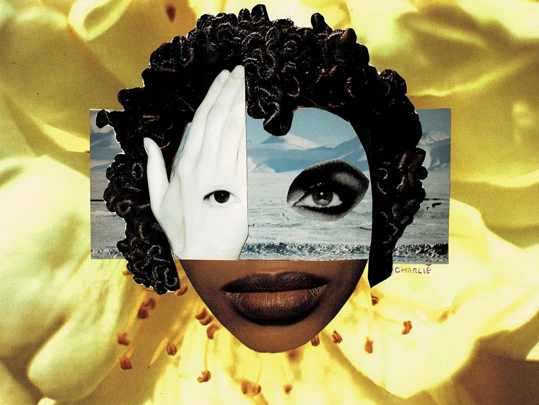 Photographic collage creating a face superimposed on a flower.