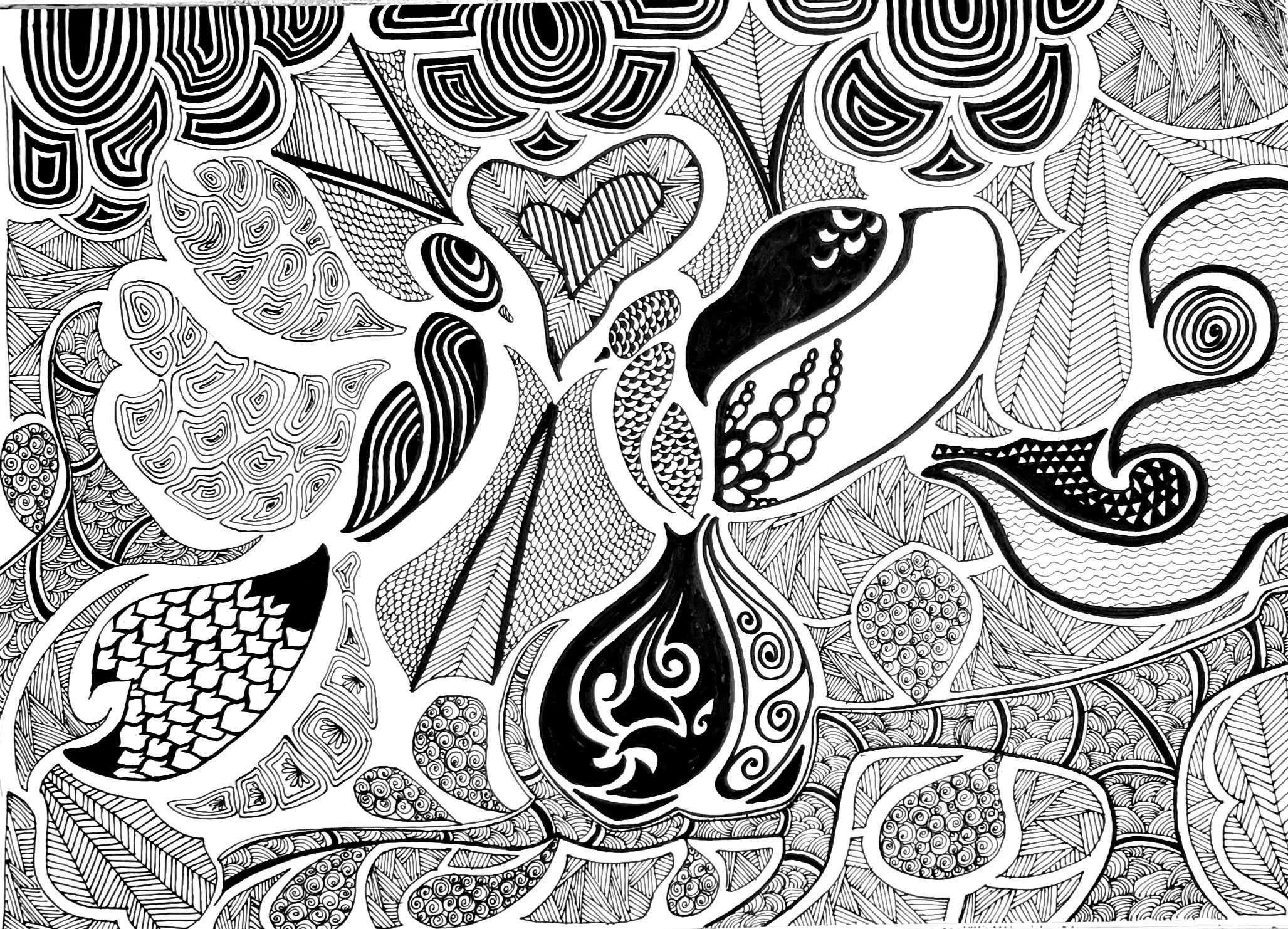 Black and white design of curving lines and shapes filled with various patterns