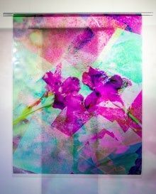 Photo-collage of flowers in cyan and magenta printed on transparent film.