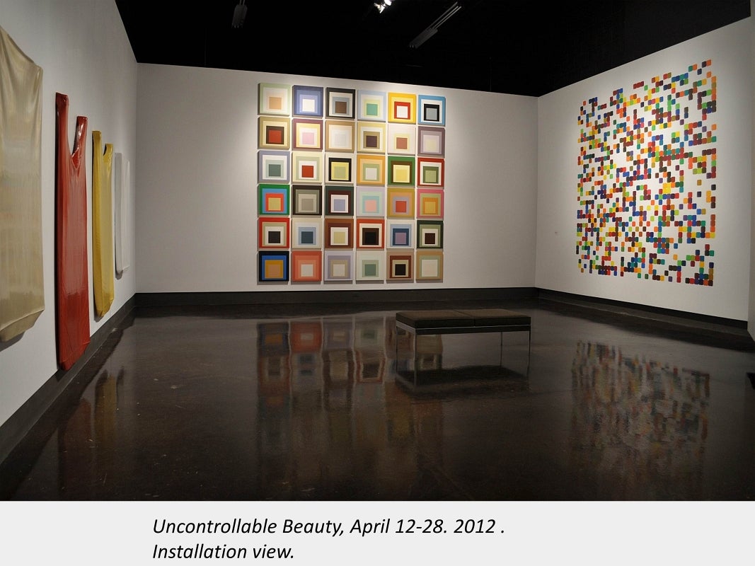 Artwork by Josh Peressotti. Uncontrollable Beauty, April 12-28, 2012. Installation view.