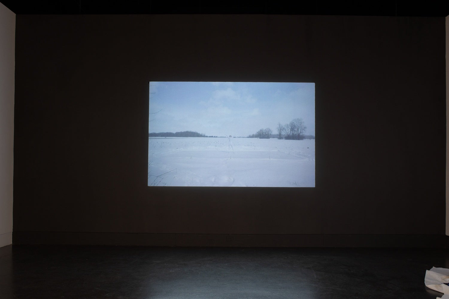 A video of a person in a white skating costume performs on a rink in the middle of a field is projected on a gallery wall