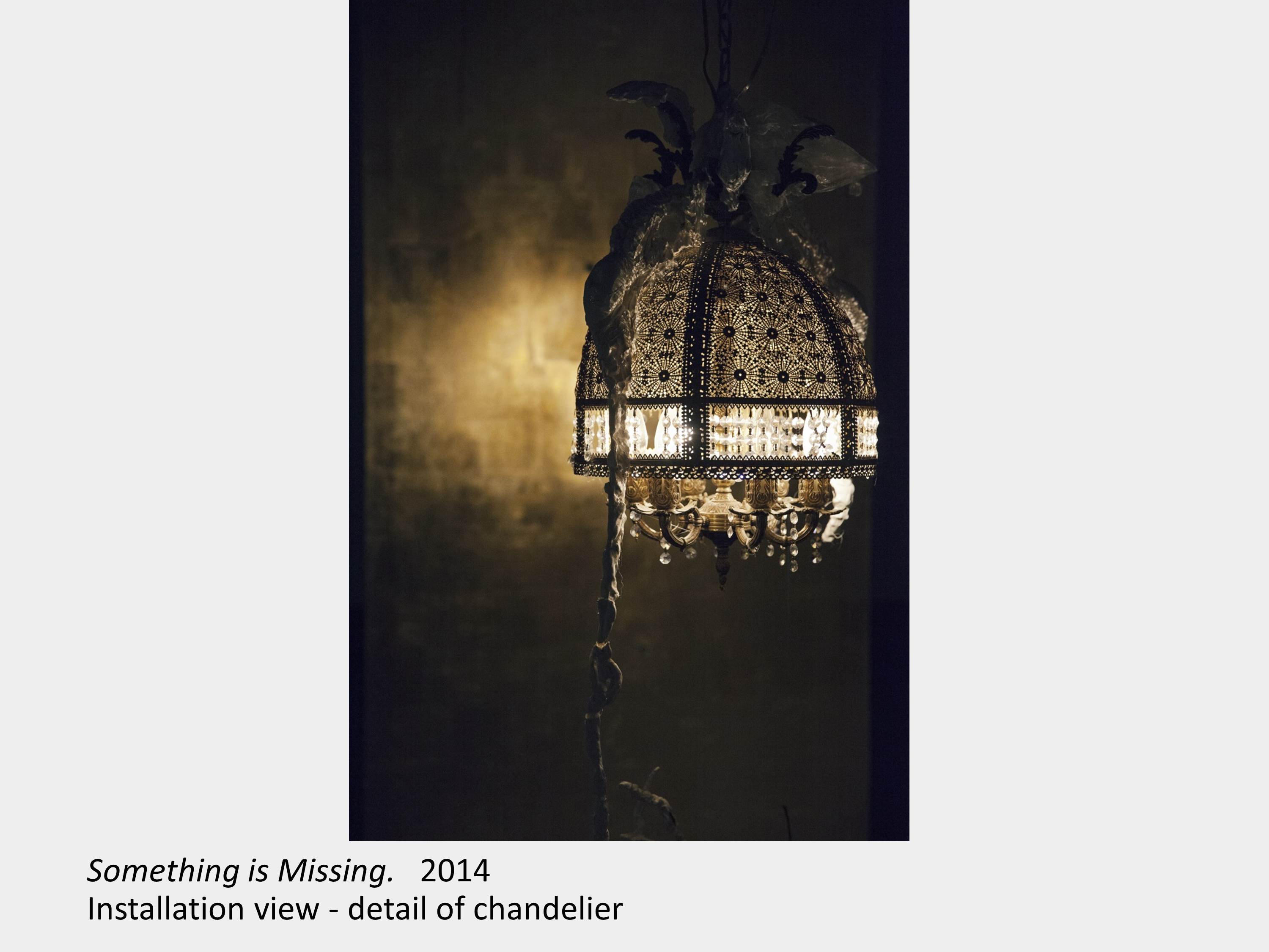 Artwork by Srdjan Segan. Something is Missing. 2014. Installation view - detail of chandelier.