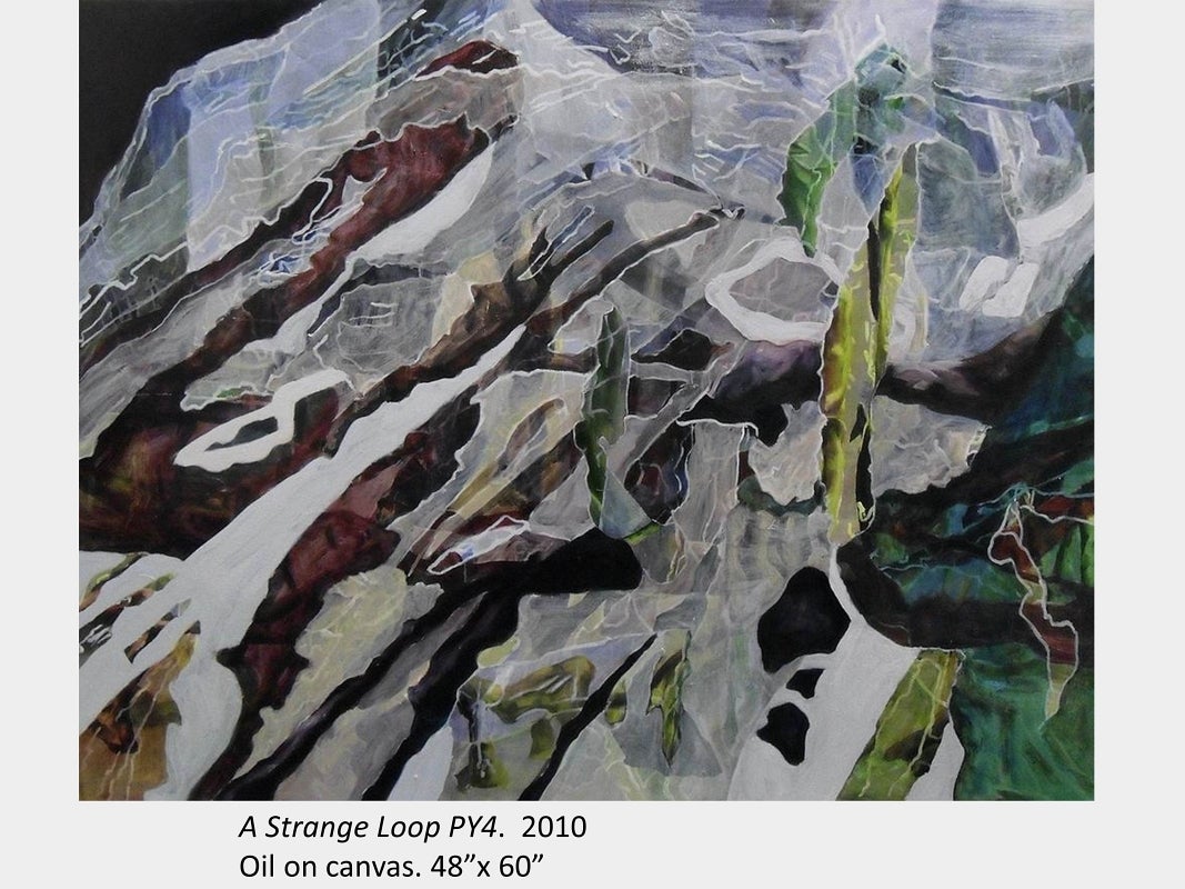 Artwork by Alison Shields. A Strange Loop PY4. 2010. Oil on canvas. 48” x 60”