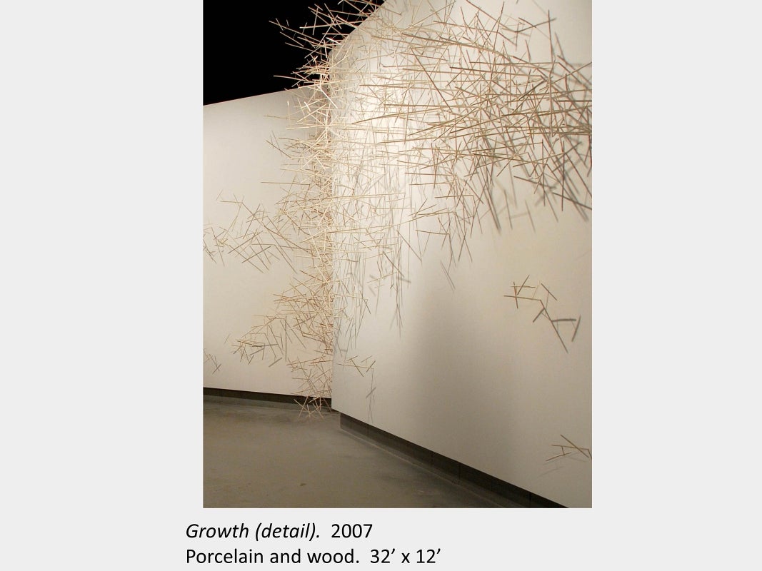 Artwork by Dawn Stafrace. Growth (detail). 2007. Porcelain and wood. 32’ x 12’ 