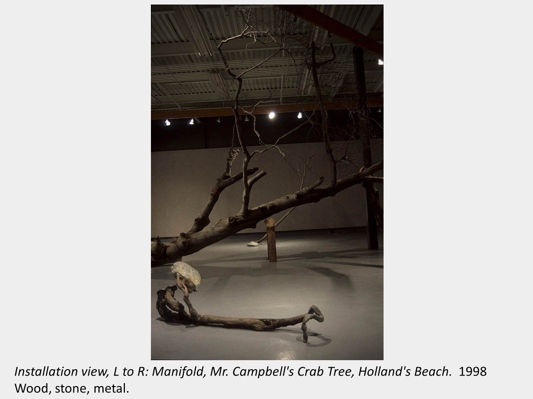 Artwork by Chris Stones. Installation view, L to R: Manifold, Mr. Campbell's Crab Tree, Holland's Beach. 1998. Wood, stone, meta
