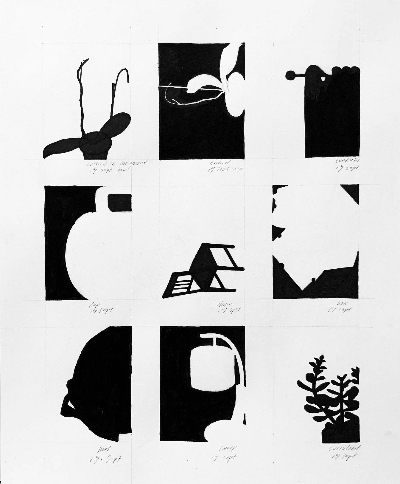 Nine simplified black and white drawings of plants and household objects.