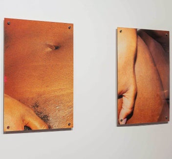 Artwork showing two photographs of detail of a section of a human body and hand