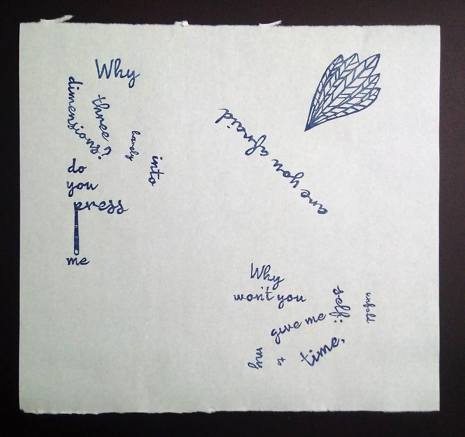 Artwork of text the feather patterns