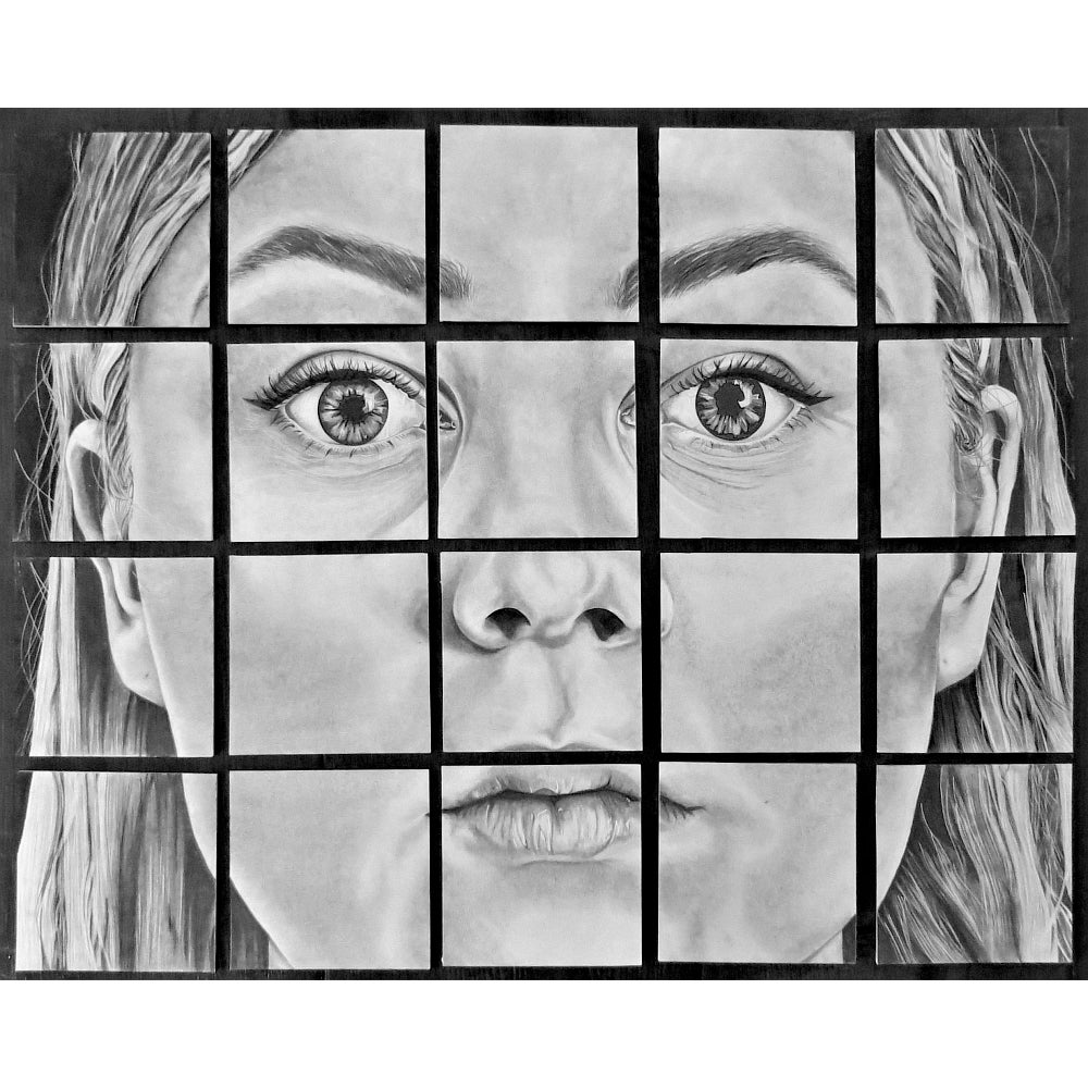 Black and white drawing of a portrait with a neutal expression, cut into grid of 5 x 4 squares.
