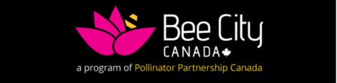 Bee City Canada logo banner black background