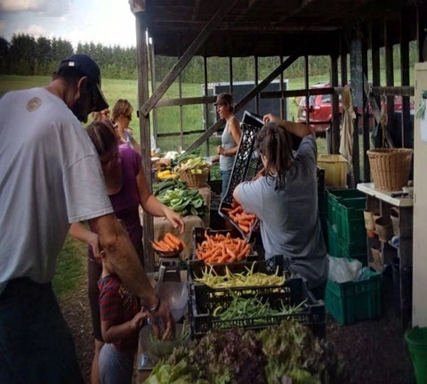 People buying from Fertile Ground's Friday On-Farm Pick-up
