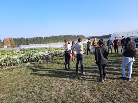 Group of people standing beside farm crops 