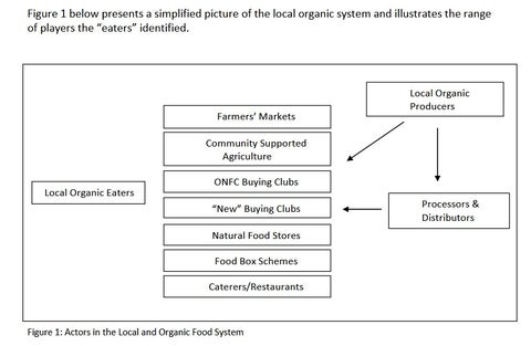 a flow chart showcasing how food travels the food network from local organic producers to consumers, through processors, distributors, farmers markets and stores