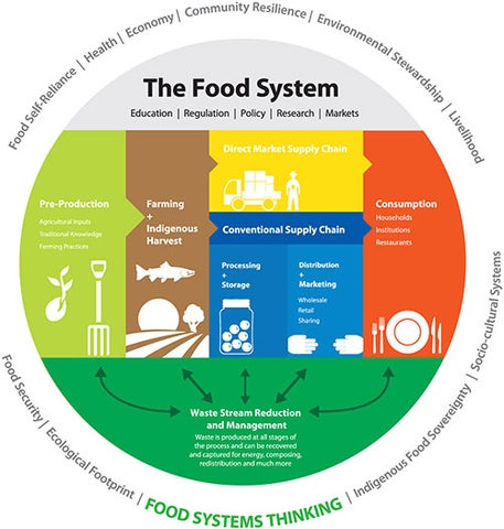 food system graphic