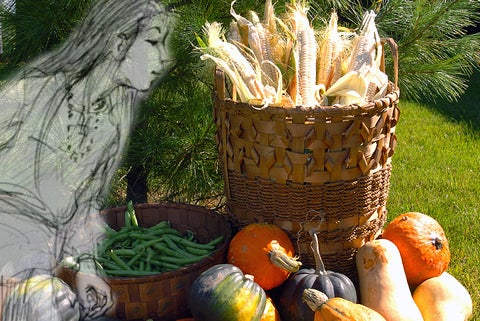 Woman gazing at baskets of corn, beans and squash