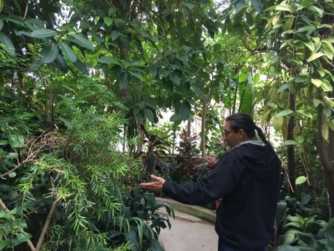 Mkomosé (Dr. Andrew Judge) teaching in a garden © Mkomosé