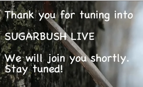 Sugarbush Live title page