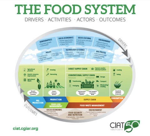 The Food System